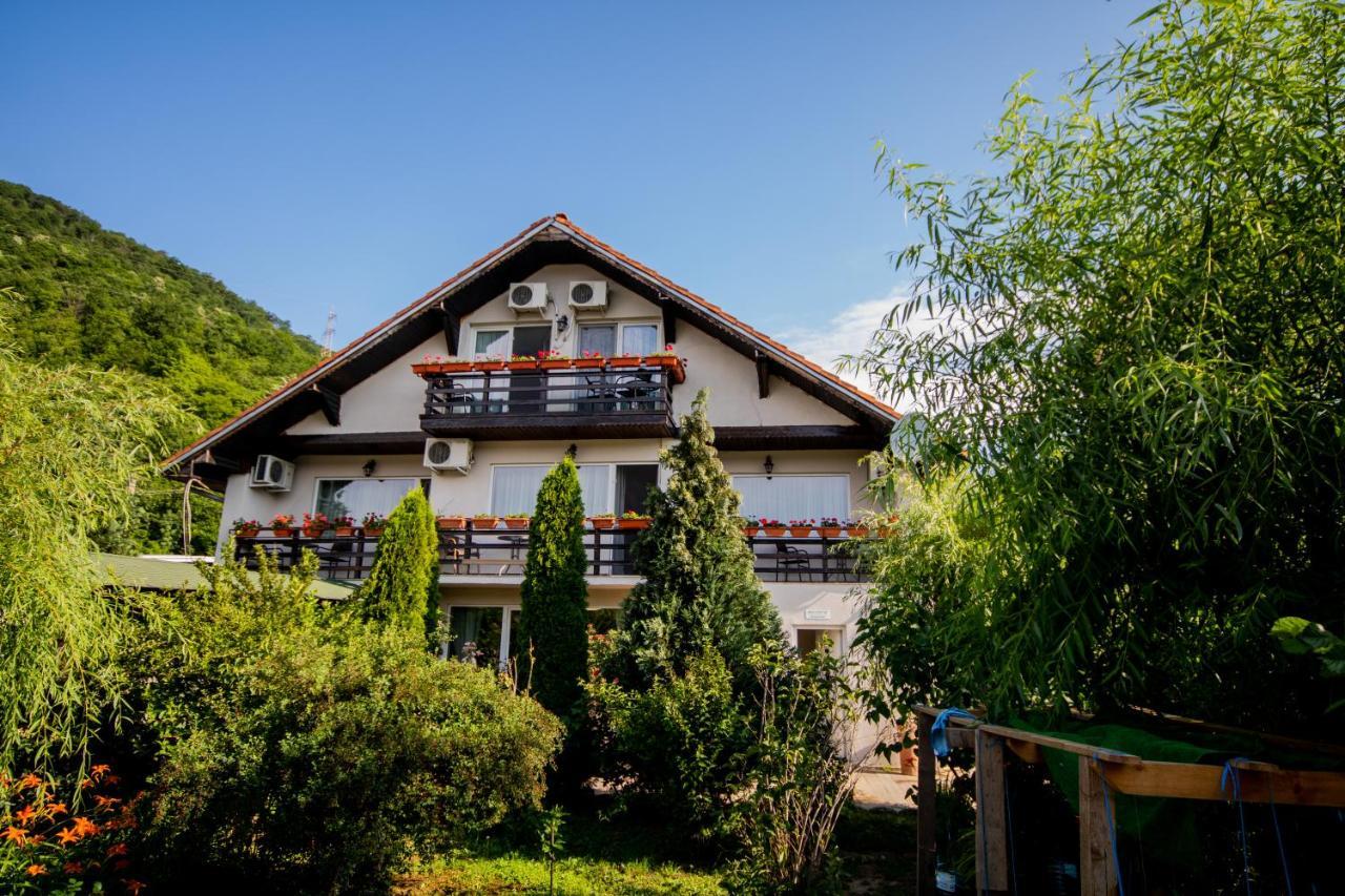Pensiunea Danubia Eselnita Exterior foto